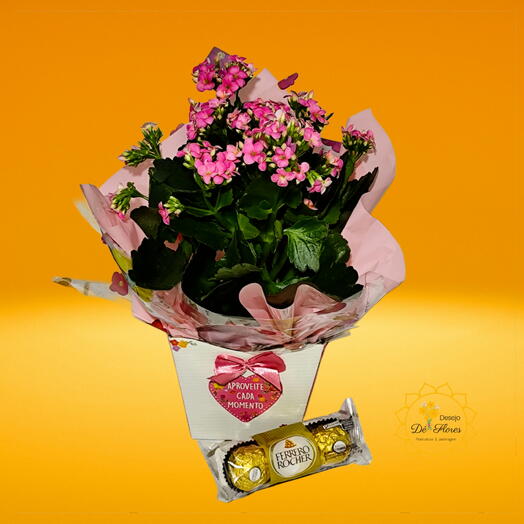 Arranjo do Amor Rosa