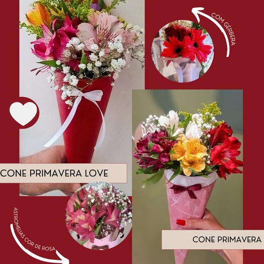 CONE COM ASTROMELIAS - COLEÇÃO NAMORADOS