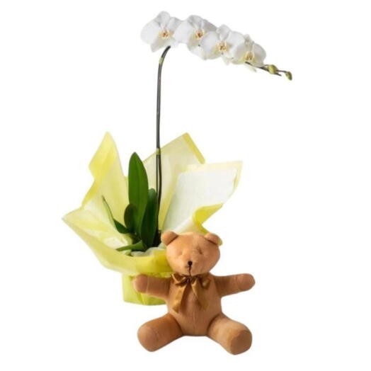 Orquidea Branca e Pelucia