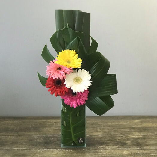 arranjo giulia – gerberas coloridas