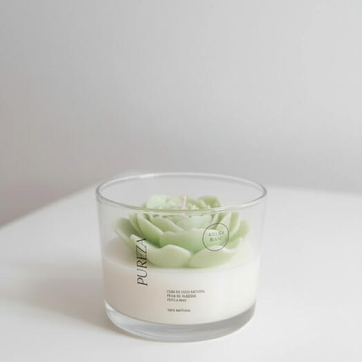 Vela Aromatica 150g - Bamboo