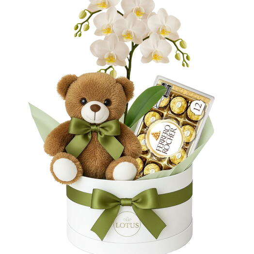 Box de Orquidea Media, Pelucia e Ferrero Rocher