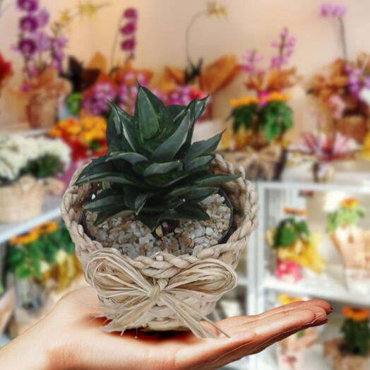 Mini espada de são jorge