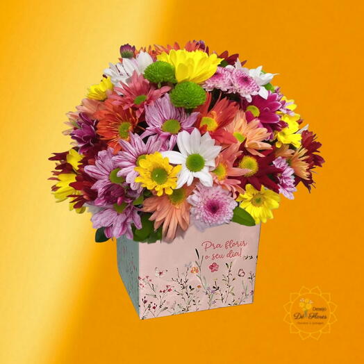 Arranjo Florindo seu Dia