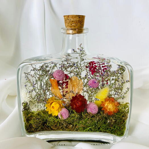 Jardim no Vidro Narciso Flores do Campo