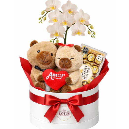 Box Ursinho Capivara com Orquidea Branca e Ferrero Rocher