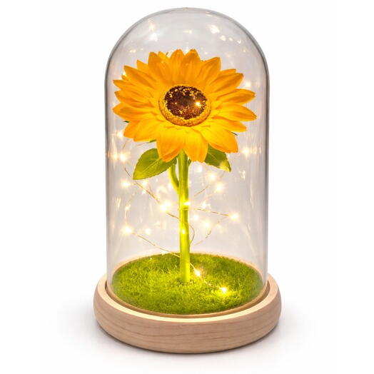 Girassol Encantado Iluminado