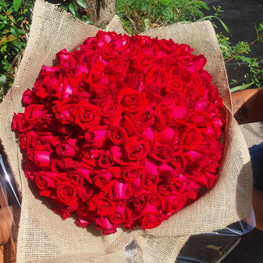 Mega Buquê 100 Rosas Vermelhas