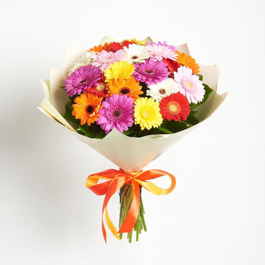 Buquê de 20 Mini Gerberas em Embalagem de Grife