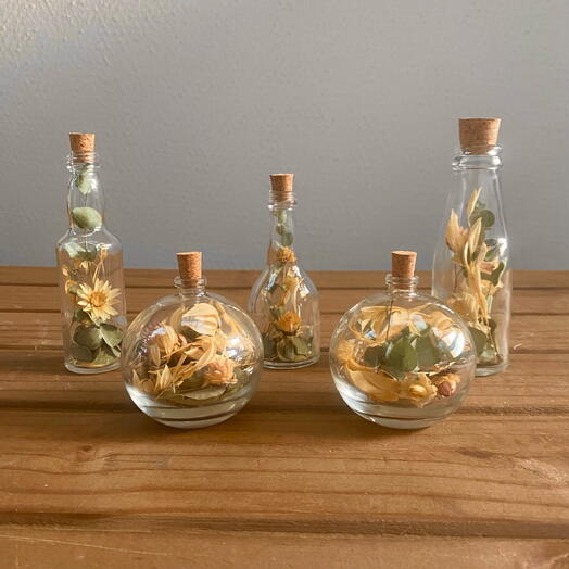 Mini Gardens Valor Unitario