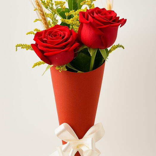 Cone Rosa Vermelhas Colombianas