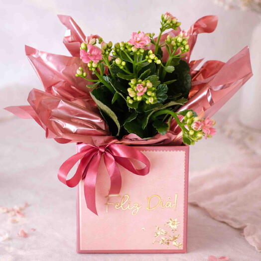 Box Floral Feliz Dia - Especial Dia da Mulher