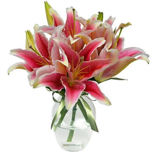 Lirio Rosa Tigre