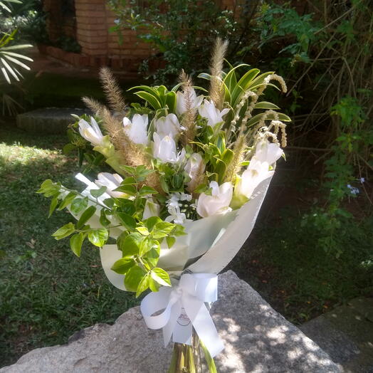 White Curcuma