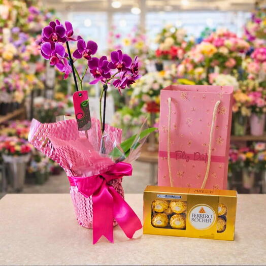 Cesta Feliz dia  com Mini Orquidea e Ferrero Rocher