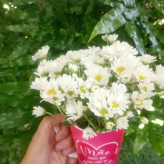 Caneca mãe