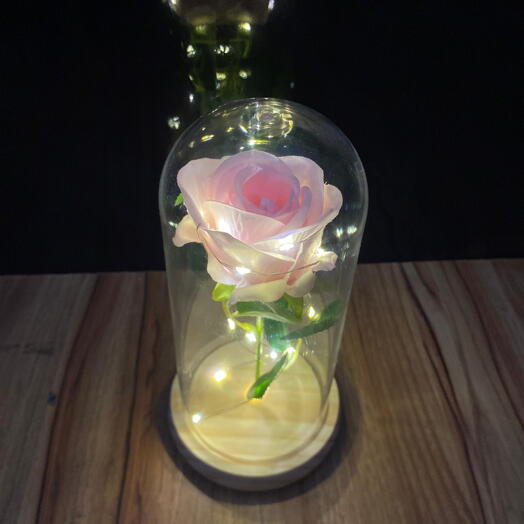 Rosa Encantada