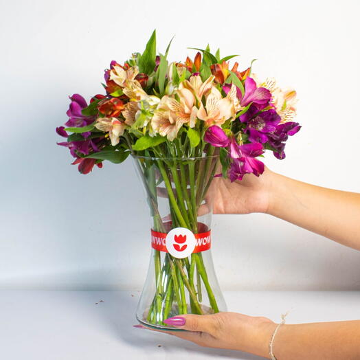 Arranjo de Astromelia