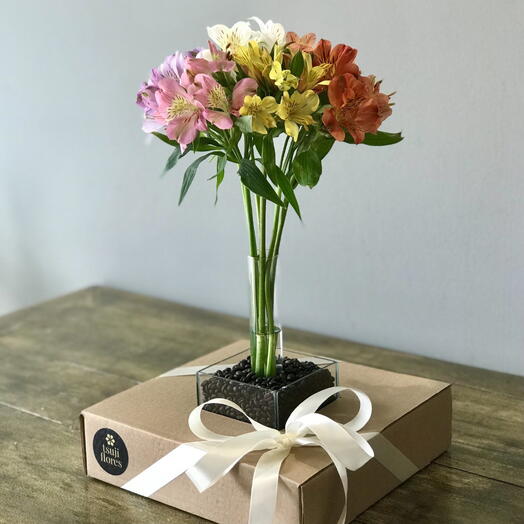 arranjo anne – alstroemerias coloridas