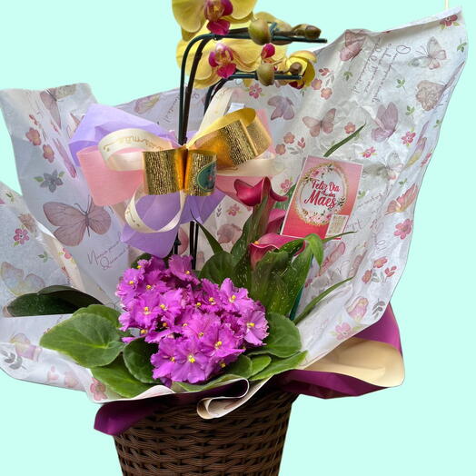 Mix de Flores Plantadas