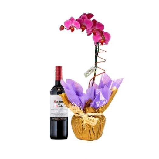Orquidea e Vinho Casillero