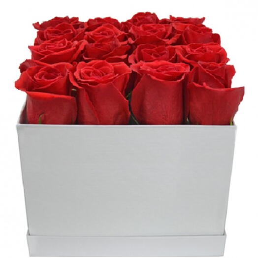 CAIXA SURPRESA COLOMBIANAS