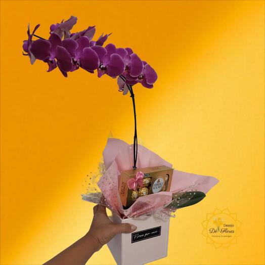 Orquidea Encanto com Ferrero - 🌷 DIA DAS MÃES