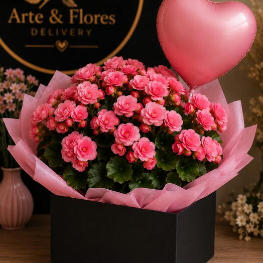 Begonia Rosa Especial – Dia das Mães 🌸