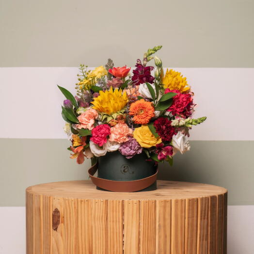 Box Primavera Premium