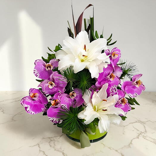 Arranjo de Orquideas de Corte