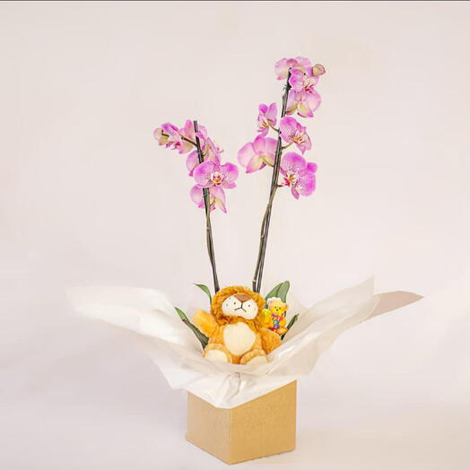 Orquidea com pelucia