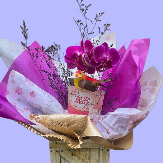 Orquidea Phalaenops na Caixa com Passarinho e Placa Personalizada