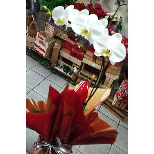 Orquidea Branca Phaly