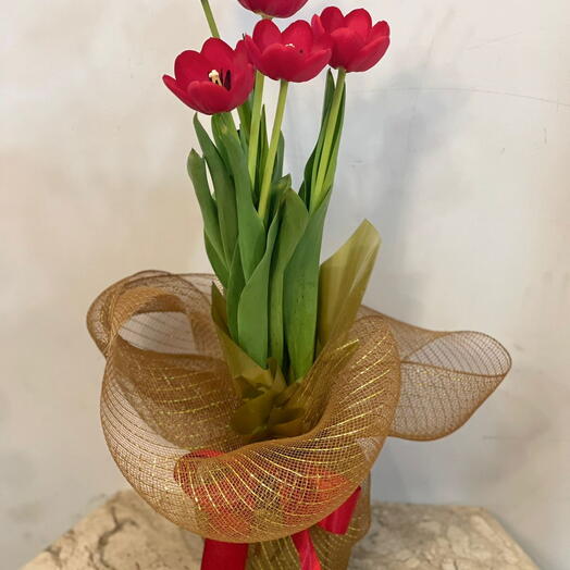 Vaso Tulipa