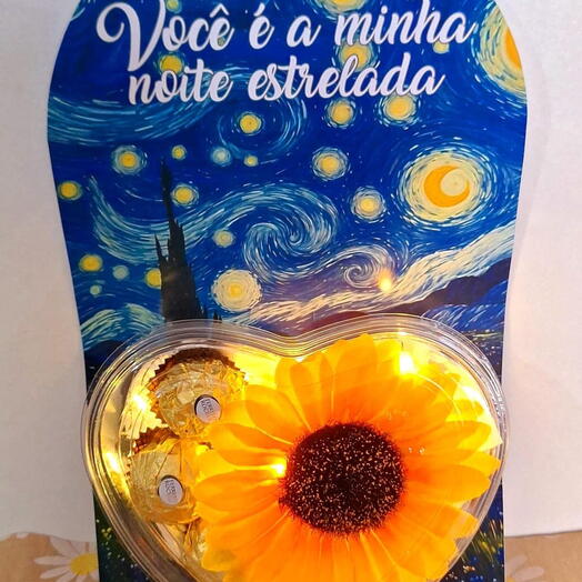 Noite Estrelada