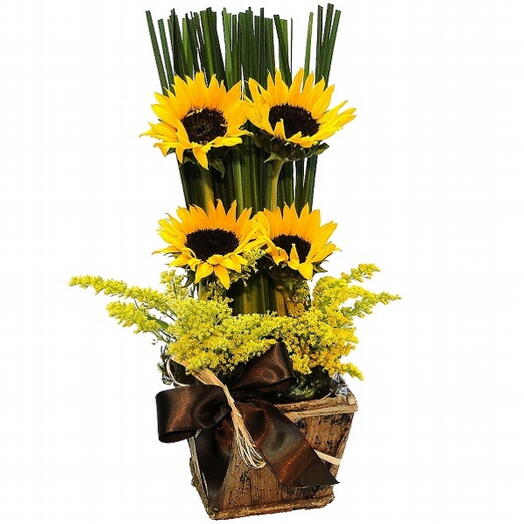 Quarteto de Girasol