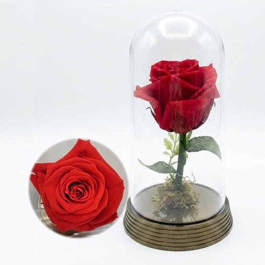 ROSA ENCANTADA VERMELHA