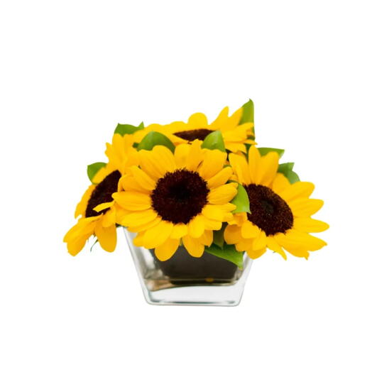 Arranjo de Girassol em Vaso de Vidro – Aisha