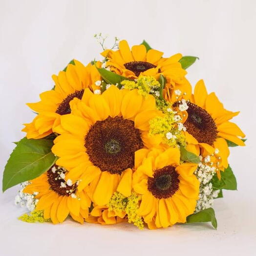 Buquê com 6 girassois