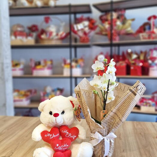 Mini Orquidea C/ pelucia