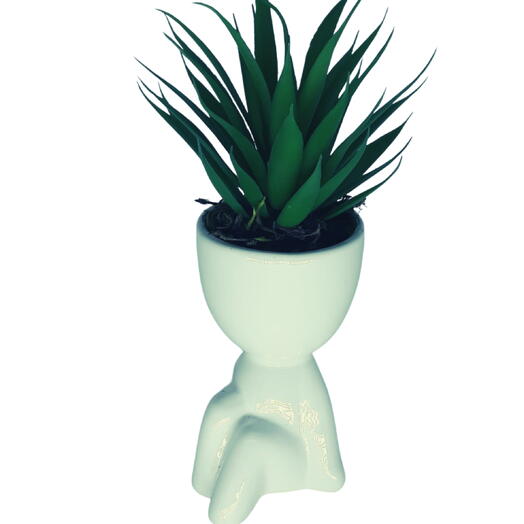 Arranjo Com Suculentas De Silicone   Vaso Boneco Bob