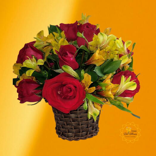 Arranjo Linda Demais