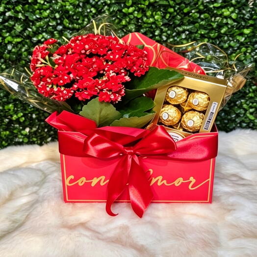 Afeto e carinho 🥰