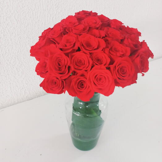 Esplendor Colombiana 50 Rosas em Vaso