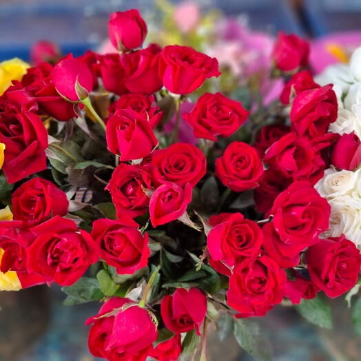 Buque 100 rosas