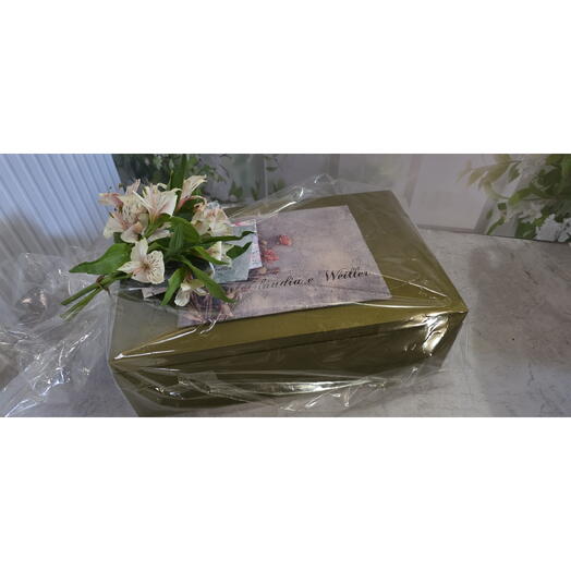 Caixa Momentos Inesqueciveis