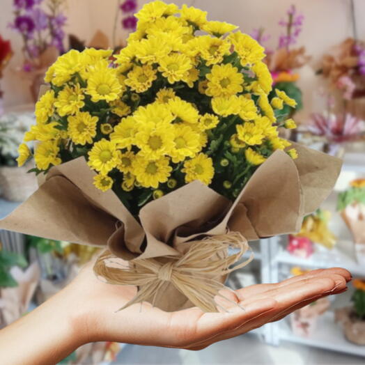 Margaridinha Plantada Amarela com Papel Kraft