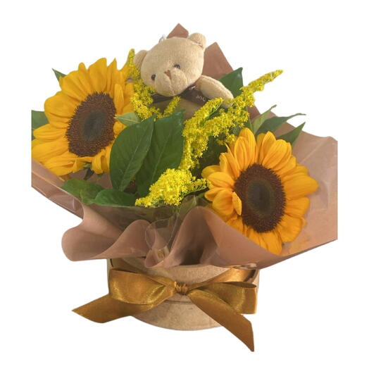 Dupla de Girassois com Pelucia