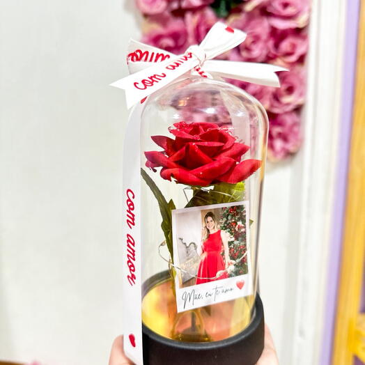 Rosa Encantada com Polaroid