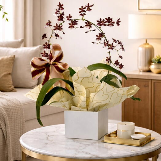 Orquidea chocolate